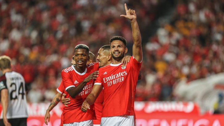 Futebol 365
