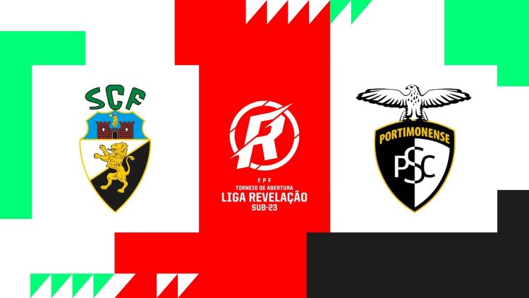 Futebol 365