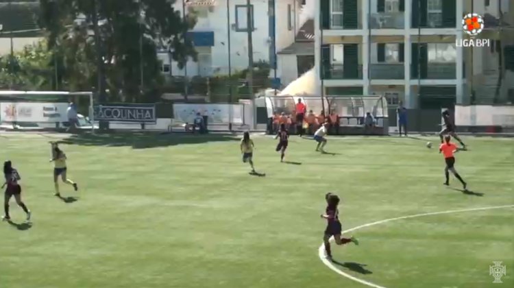 Futebol 365