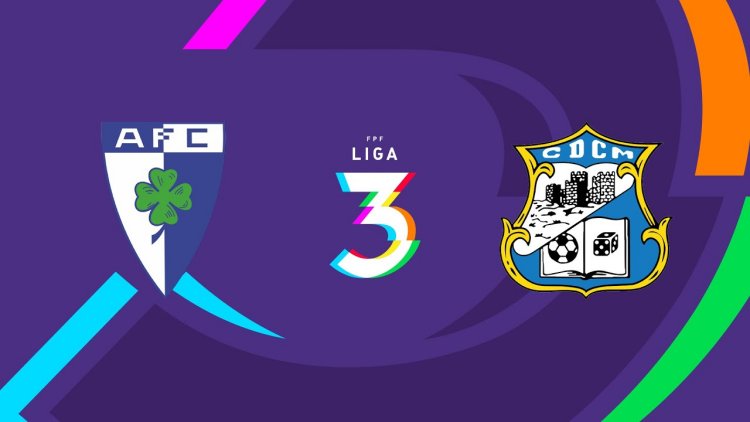 Futebol 365