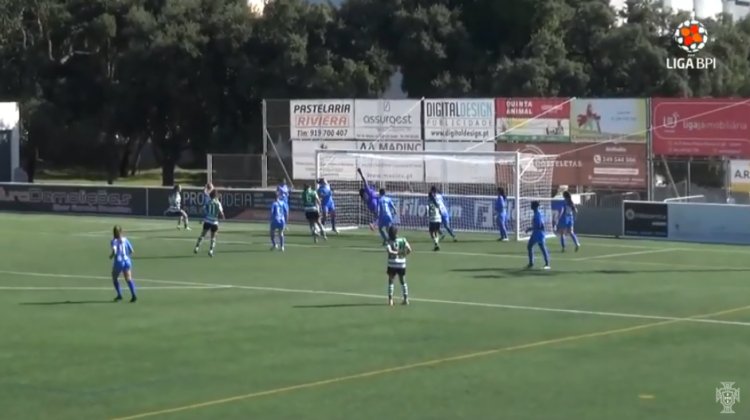 Futebol 365