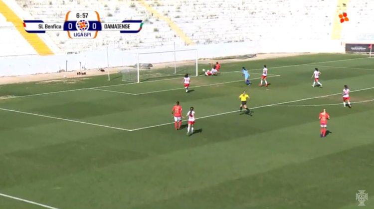 Futebol 365