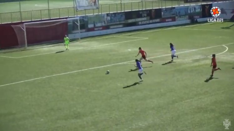 Futebol 365
