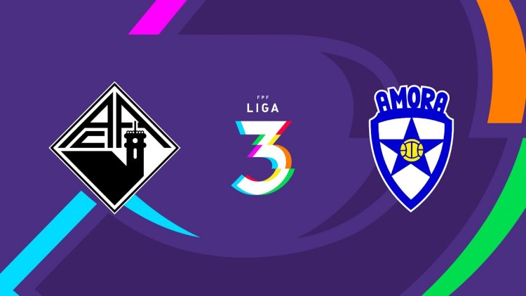 Futebol 365