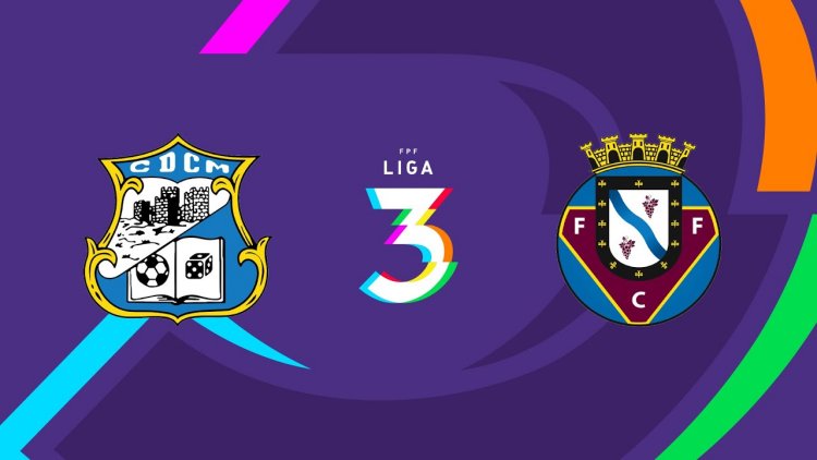 Futebol 365