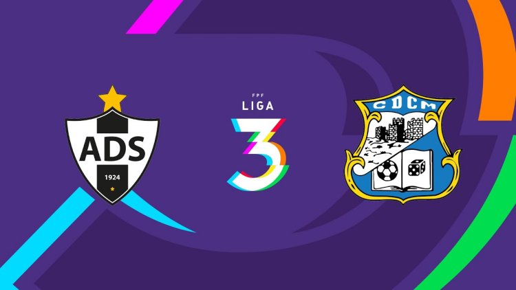 Futebol 365