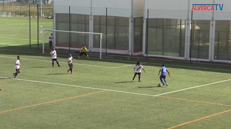 Futebol 365