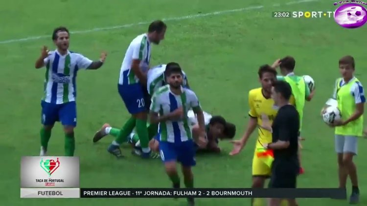 Futebol 365