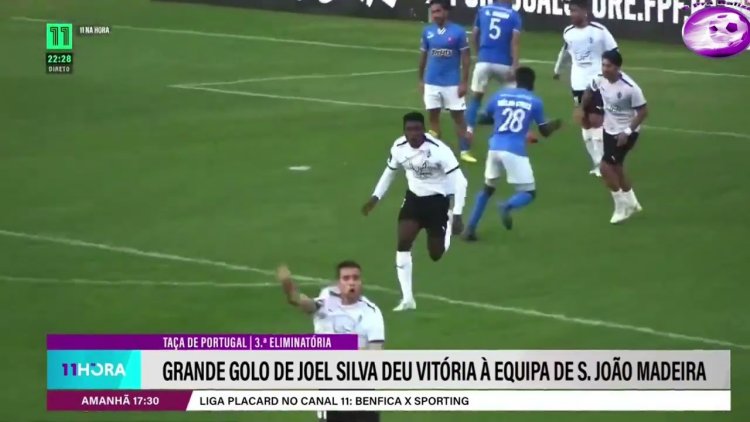 Futebol 365