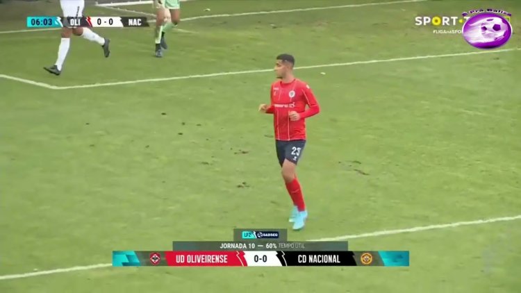 Futebol 365