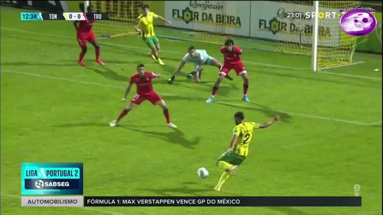 Futebol 365