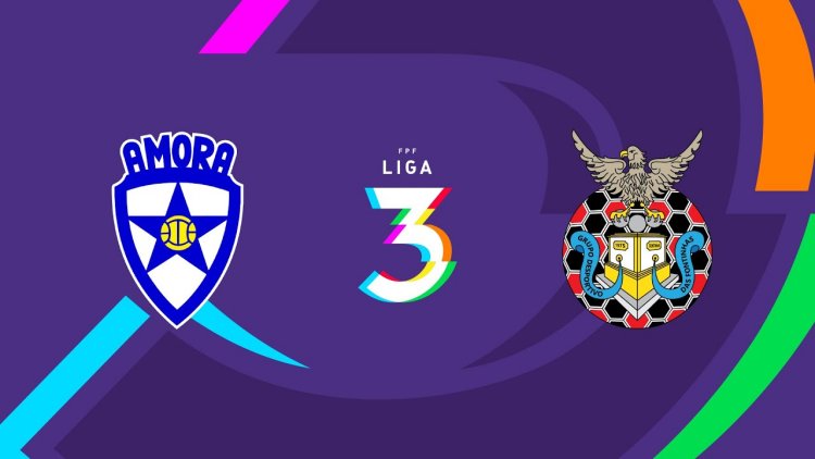 Futebol 365