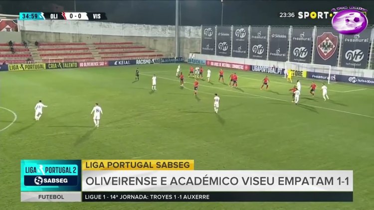 Futebol 365