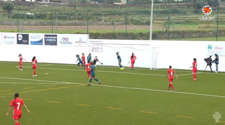 Futebol 365