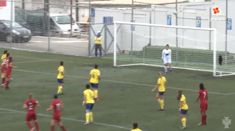 Futebol 365