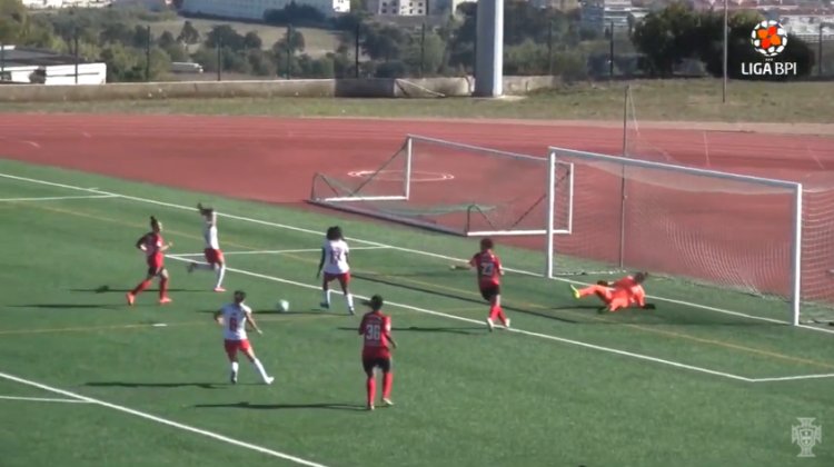 Futebol 365