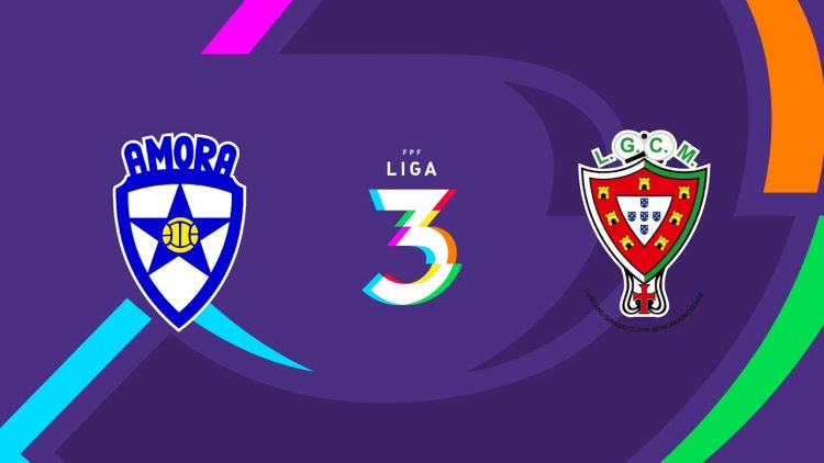 Futebol 365