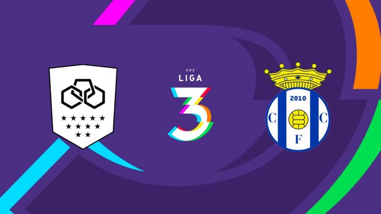 Futebol 365