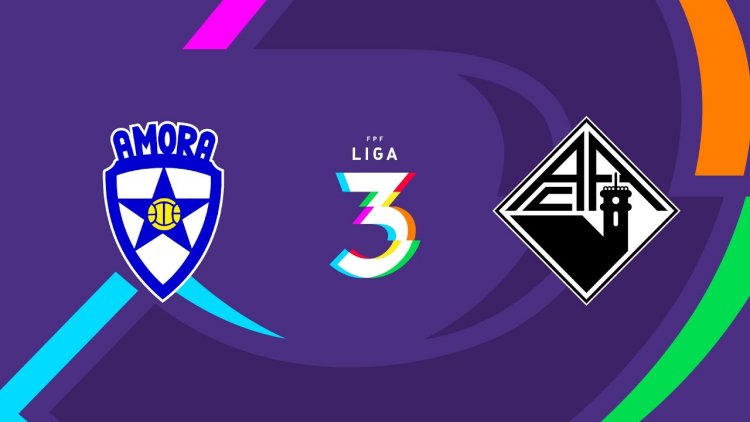 Futebol 365