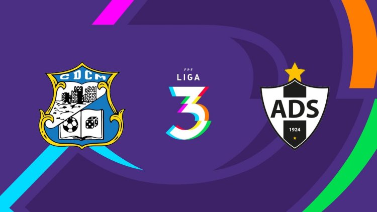 Futebol 365