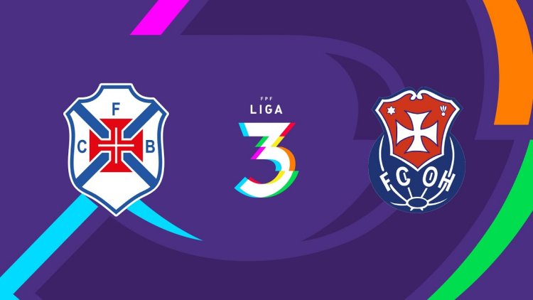 Futebol 365