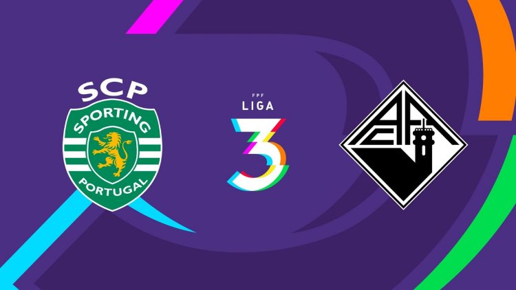 Futebol 365