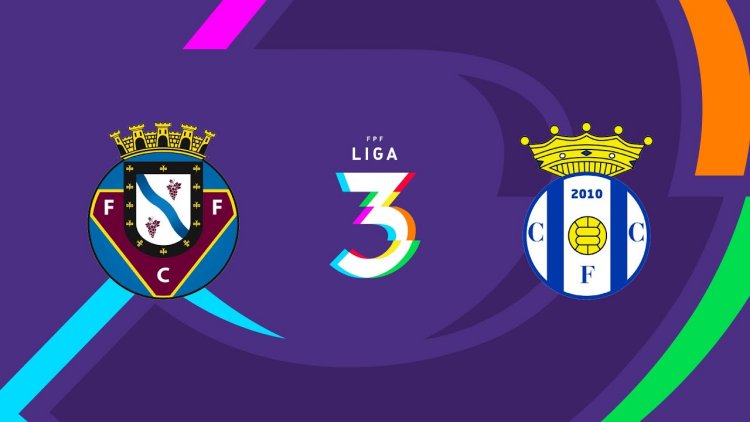 Futebol 365