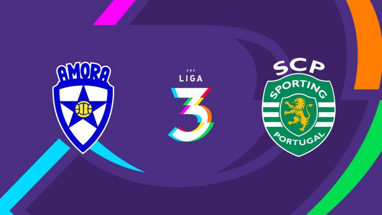 Futebol 365