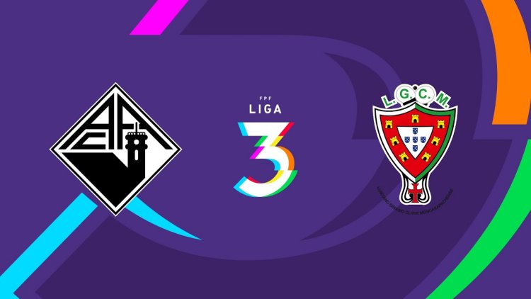 Futebol 365