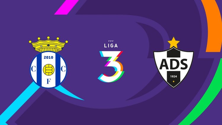 Futebol 365
