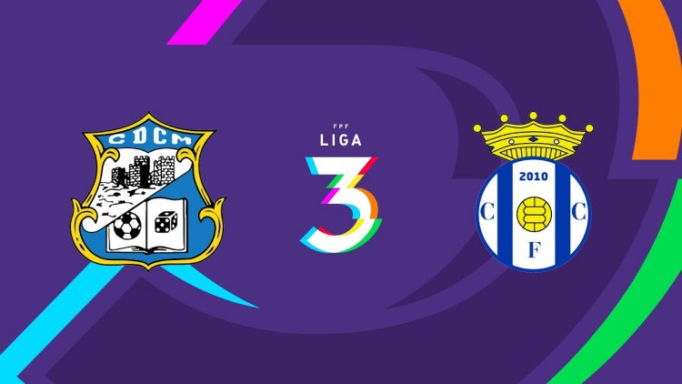 Futebol 365