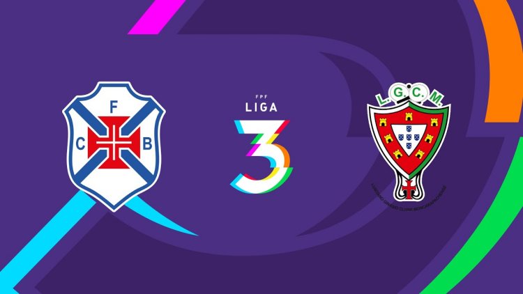 Futebol 365