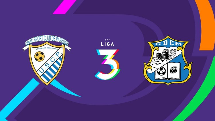 Futebol 365