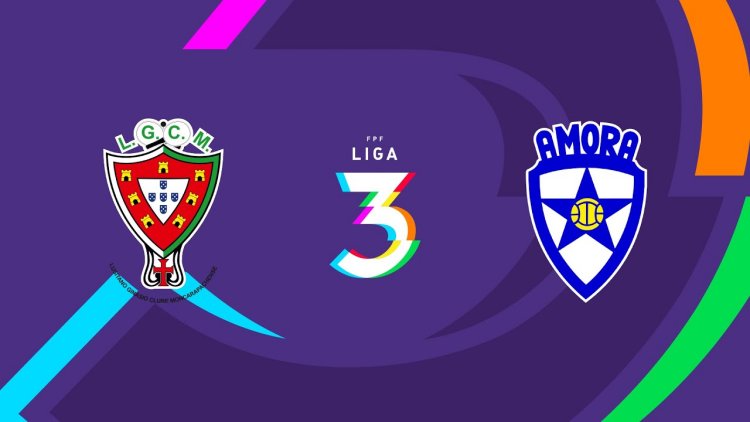 Futebol 365