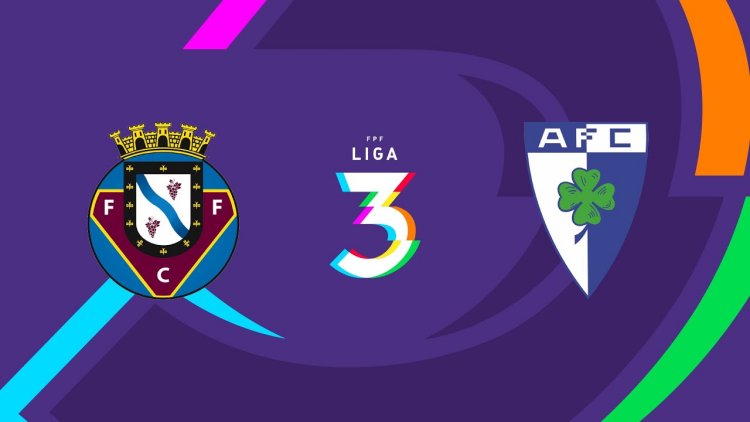 Futebol 365