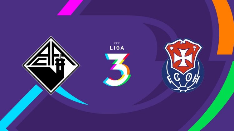 Futebol 365
