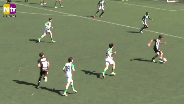 Futebol 365