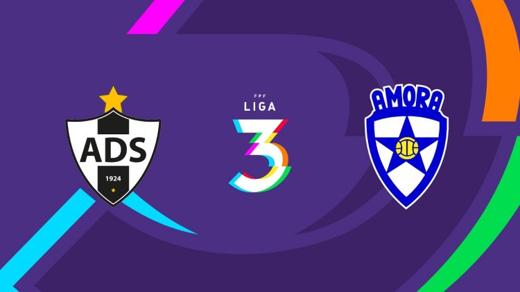 Futebol 365