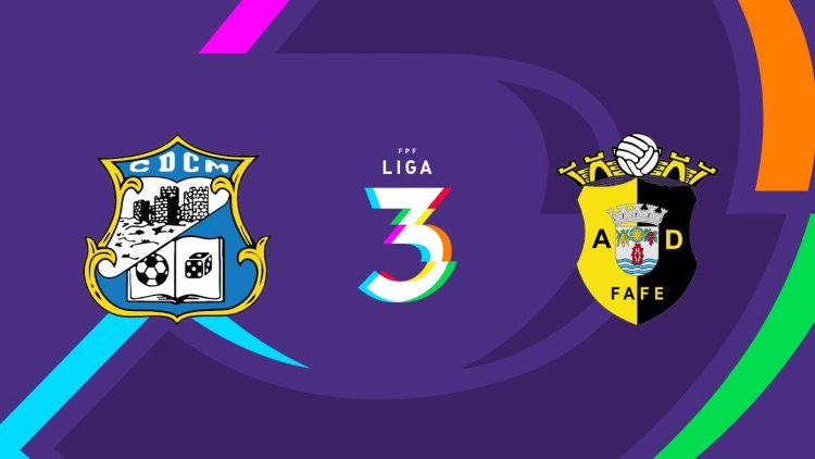 Futebol 365