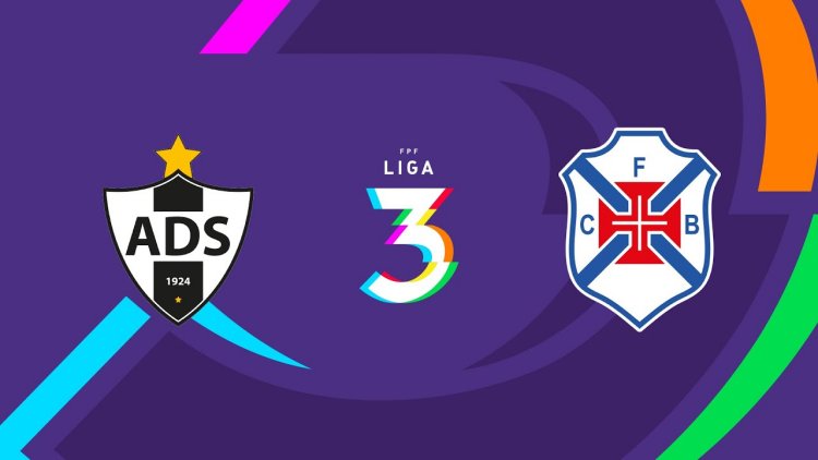 Futebol 365