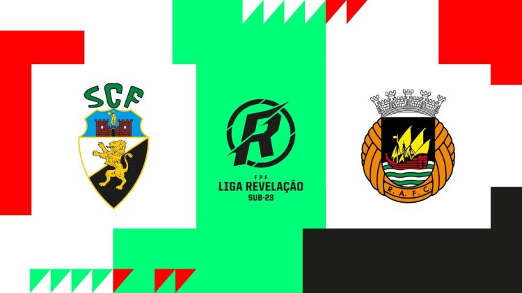 Futebol 365
