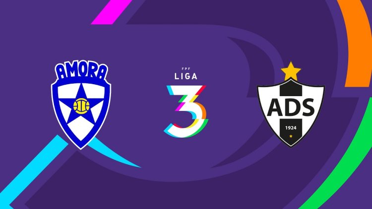 Futebol 365