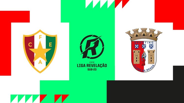 Futebol 365