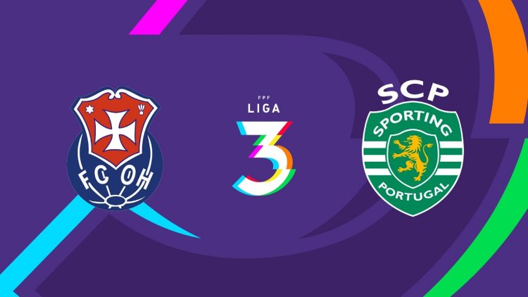 Futebol 365