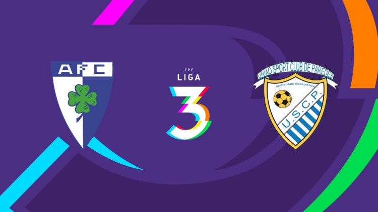 Futebol 365