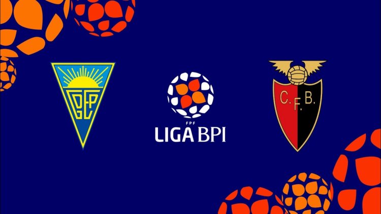 Futebol 365
