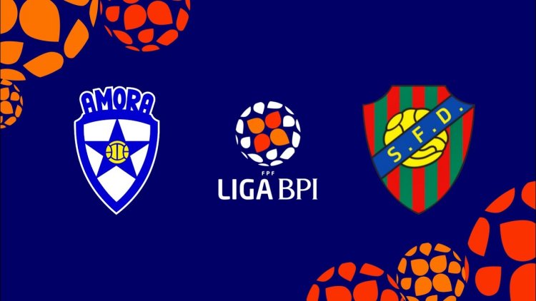 Futebol 365