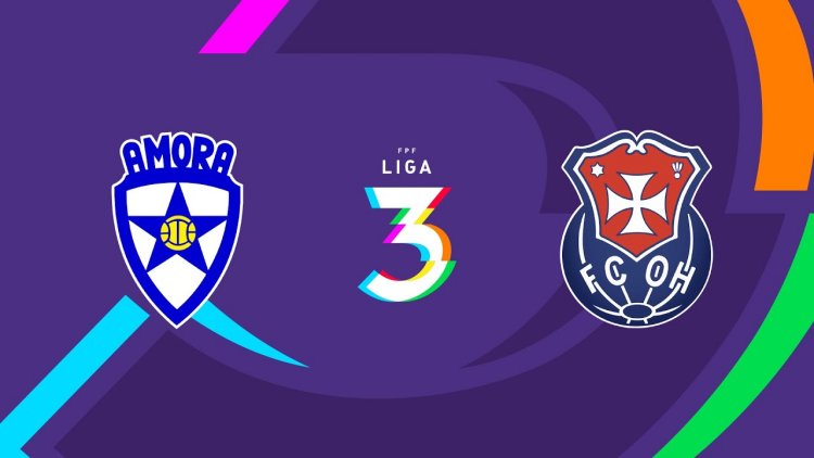 Futebol 365