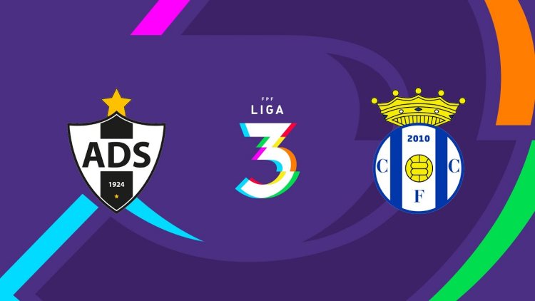 Futebol 365