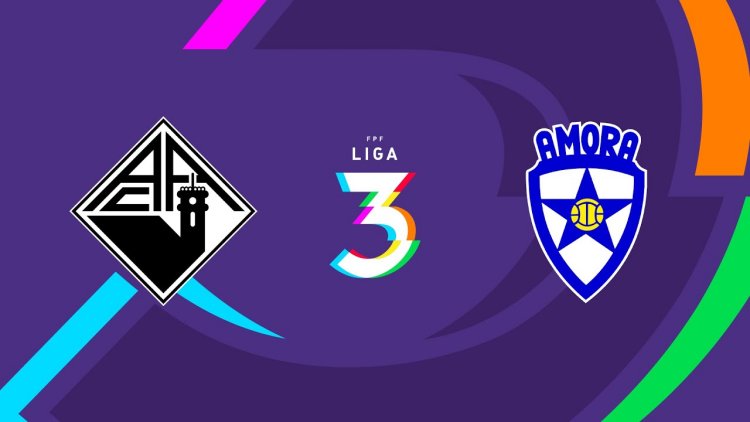 Futebol 365